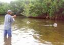 Casting the stealthy lure against the shoreline can have fantastic results.