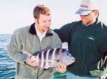 Sheepshead