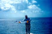 Barracuda on the flats