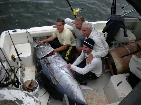 Giant tuna.jpg