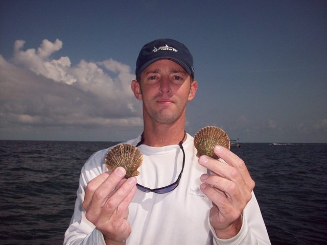 CJ Flats - Nice Scallops.jpg