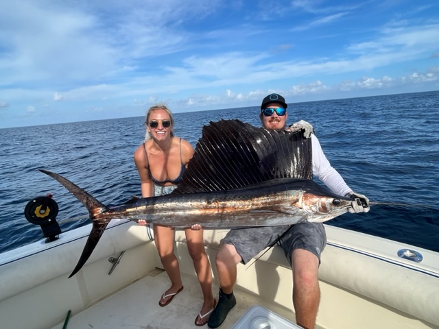 sailfish 2-8-23.jpg