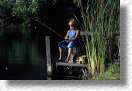 A Boy Fishing from a Dock