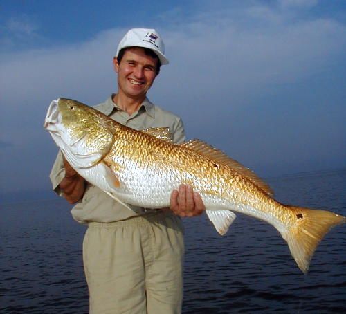 Mississippi River Delta of