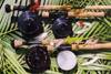 Fly fishing tackle.