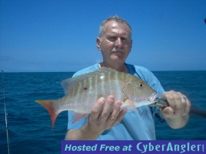 Click to Enlarge Photo