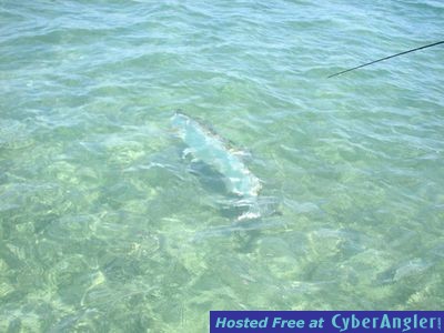 Click to Enlarge Photo