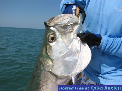 Click to Enlarge Photo