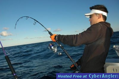 Click to Enlarge Photo