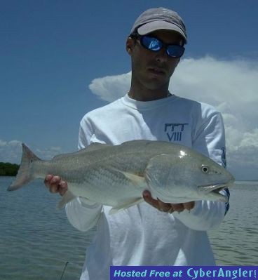 Click to Enlarge Photo