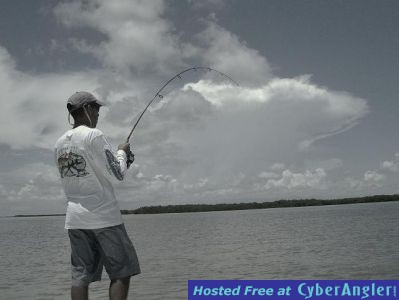 Click to Enlarge Photo