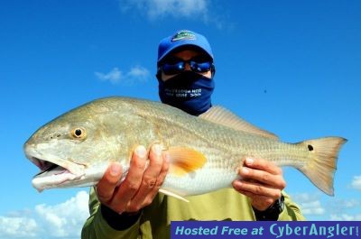 Click to Enlarge Photo