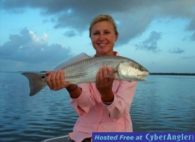 Click to Enlarge Photo