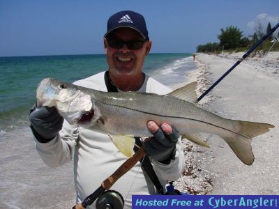 Click to Enlarge Photo