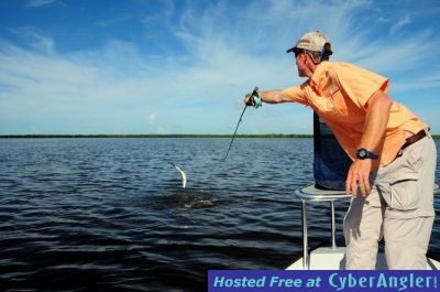 Click to Enlarge Photo