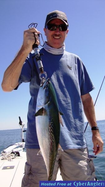 Click to Enlarge Photo