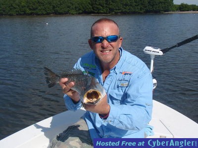 Click to Enlarge Photo