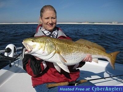 Click to Enlarge Photo