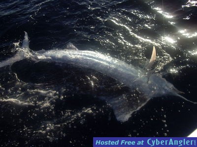 Click to Enlarge Photo