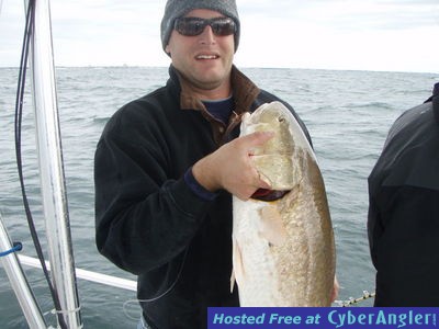 Click to Enlarge Photo