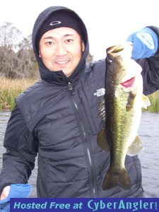 Click to Enlarge Photo