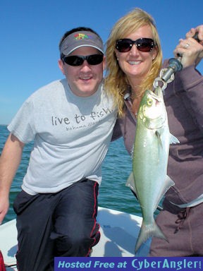 Click to Enlarge Photo