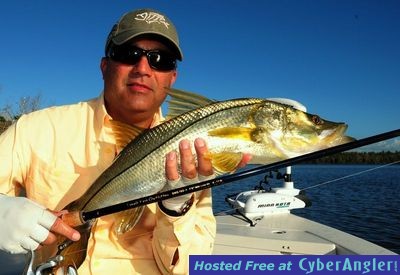 Click to Enlarge Photo