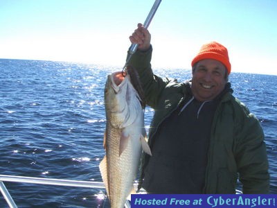 Click to Enlarge Photo