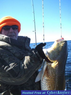 Click to Enlarge Photo