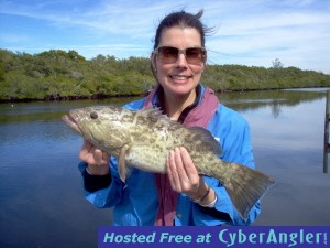 Click to Enlarge Photo