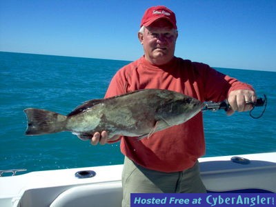 Click to Enlarge Photo