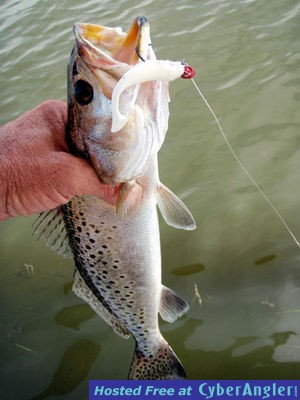 Click to Enlarge Photo