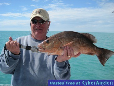 Click to Enlarge Photo