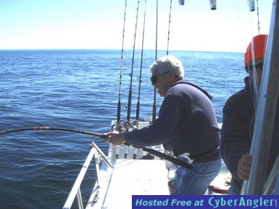 Click to Enlarge Photo