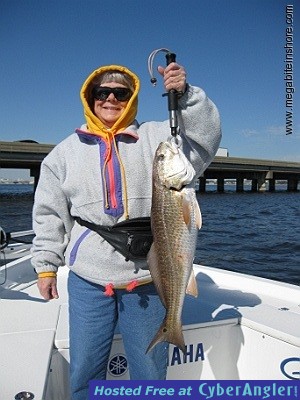 Click to Enlarge Photo