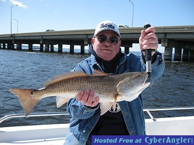 Click to Enlarge Photo