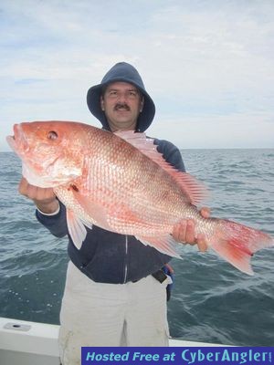 Click to Enlarge Photo