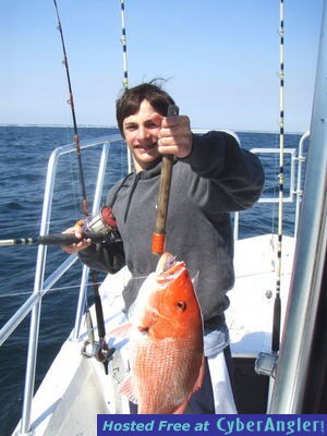 Click to Enlarge Photo