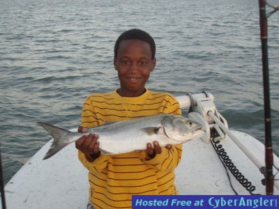 Click to Enlarge Photo