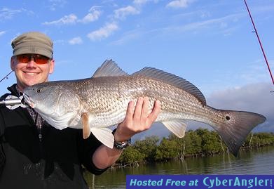 Click to Enlarge Photo