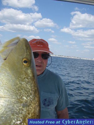 Click to Enlarge Photo