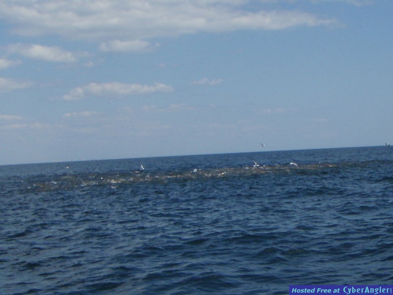 Click to Enlarge Photo