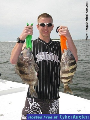 Click to Enlarge Photo