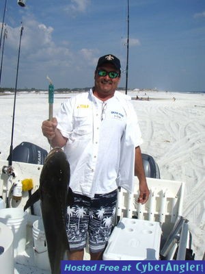 Click to Enlarge Photo