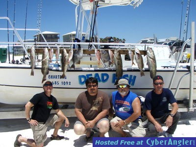 Click to Enlarge Photo