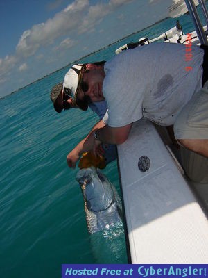 Click to Enlarge Photo