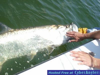 Click to Enlarge Photo