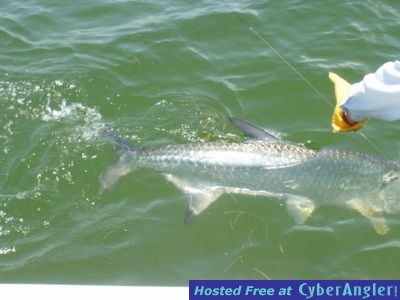 Click to Enlarge Photo