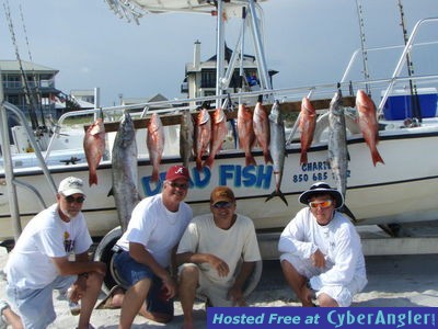 Click to Enlarge Photo