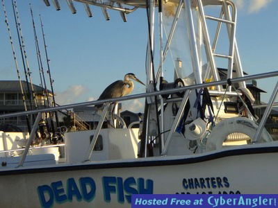 Click to Enlarge Photo